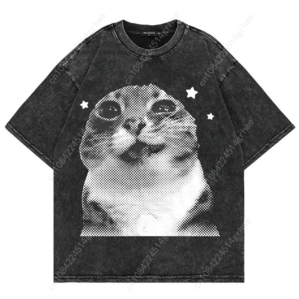 100% コットンヴィンテージウォッシュ Y2k 面白い猫ミ - Vintage Fashion Y2K のレビューと価格